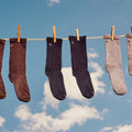 Everyday Anchor Line Crew Socks Black - ver - 4