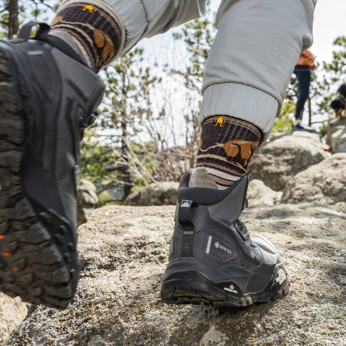 Hike Bear Stripe Mid Crew Socks Ash - ver - 3